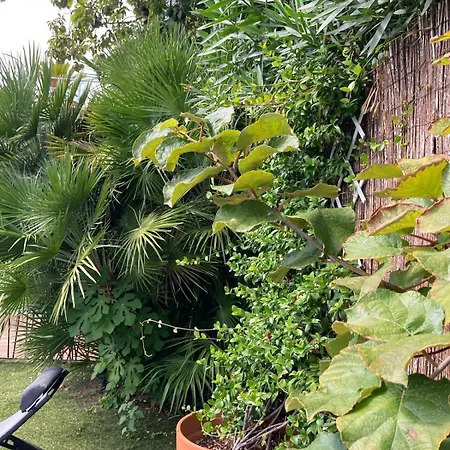 Beautiful Villa, 8p, Comfort, Quiet, Beaches And Center Villa *