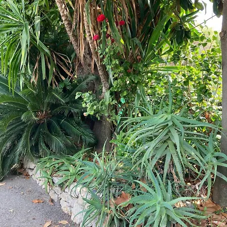 Vila Beautiful Villa, 8p, Comfort, Quiet, Beaches And Center
