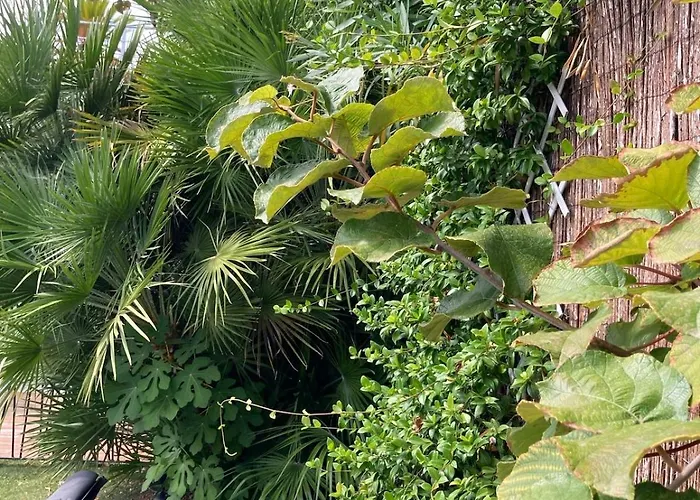 Beautiful Villa, 8p, Comfort, Quiet, Beaches And Center Villa *