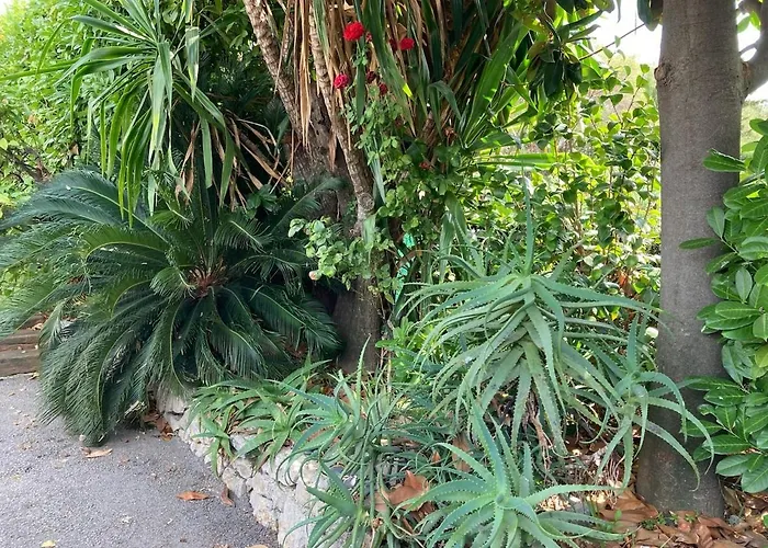 Villa Beautiful Villa, 8p, Comfort, Quiet, Beaches And Center