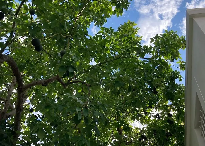 Villa Beautiful Villa, 8p, Comfort, Quiet, Beaches And Center Antibes